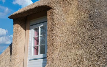 Hartest thatch roof disadvantages