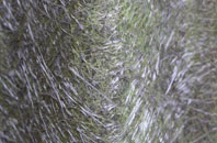 Hartest fibreglass roof work